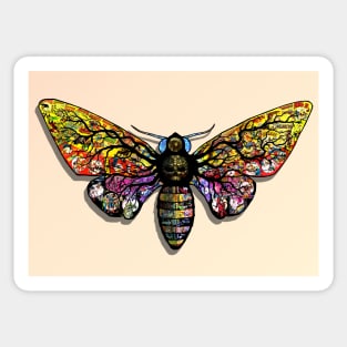 Death Head Moth Sticker